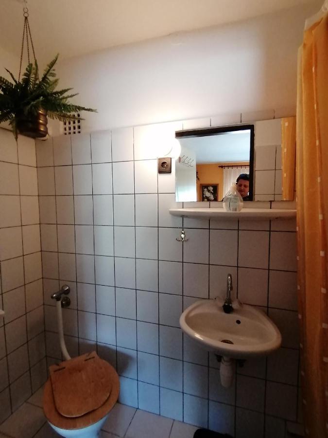Ildiko Vendeghaz Heviz Apartment Ngoại thất bức ảnh